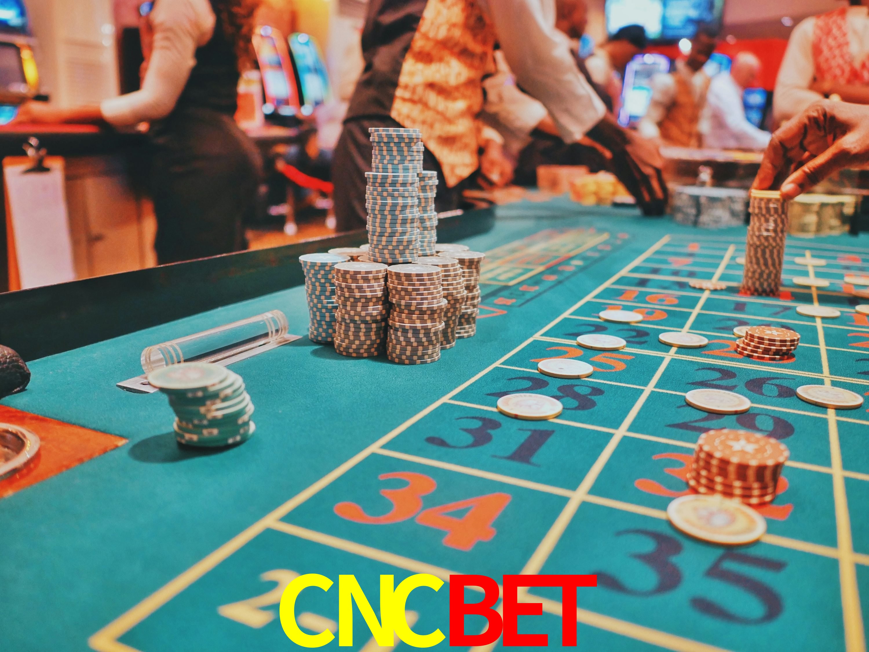 Interface Premium CNCBET